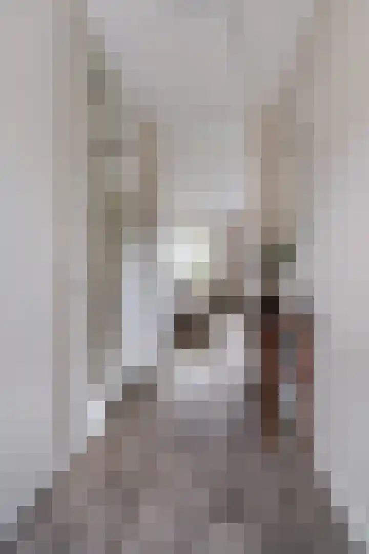 Steenbok 15 Klazienaveen thumbnail 16