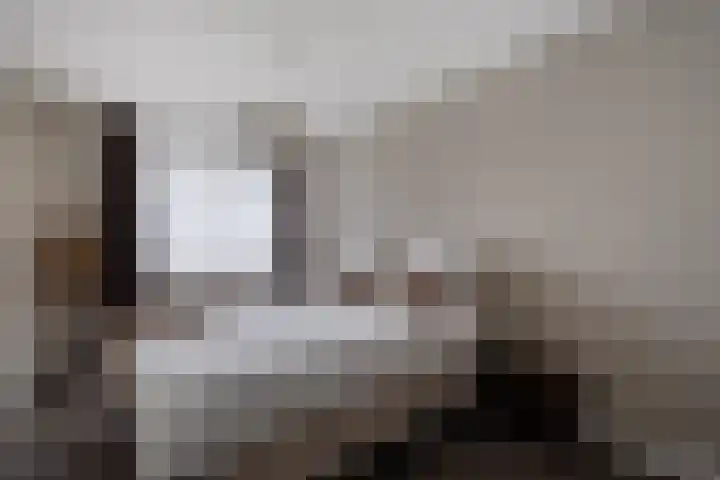 Steenbok 15 Klazienaveen thumbnail 18