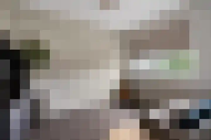 Steenbok 15 Klazienaveen thumbnail 20
