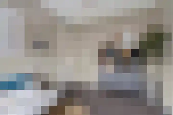 Steenbok 15 Klazienaveen thumbnail 21