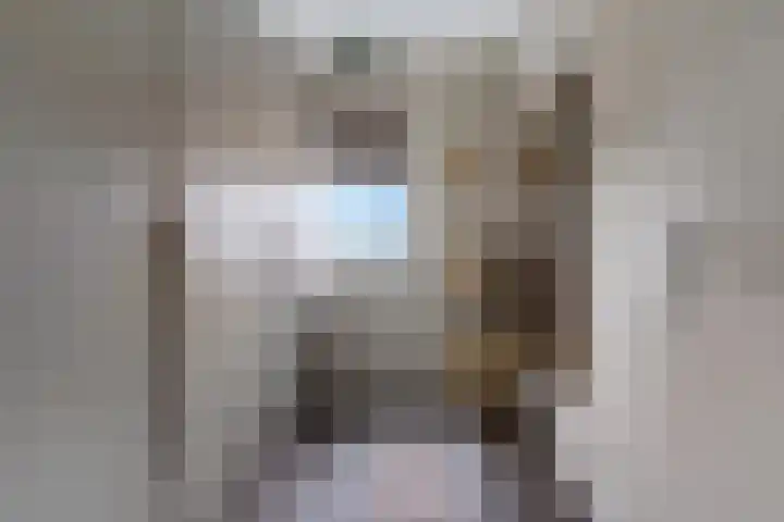 Steenbok 15 Klazienaveen thumbnail 22