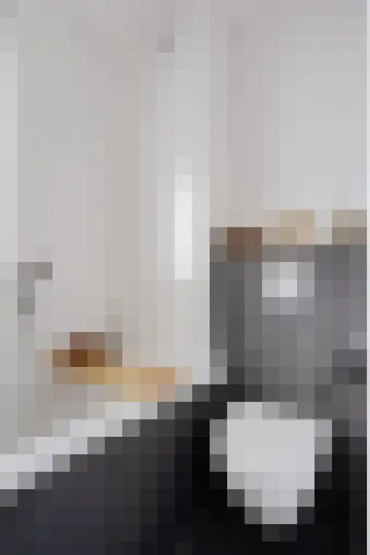 Steenbok 15 Klazienaveen thumbnail 25