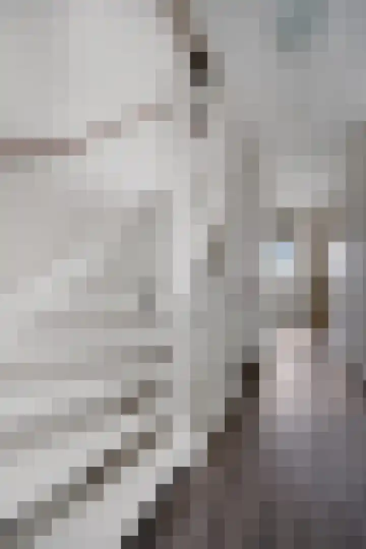 Steenbok 15 Klazienaveen thumbnail 27