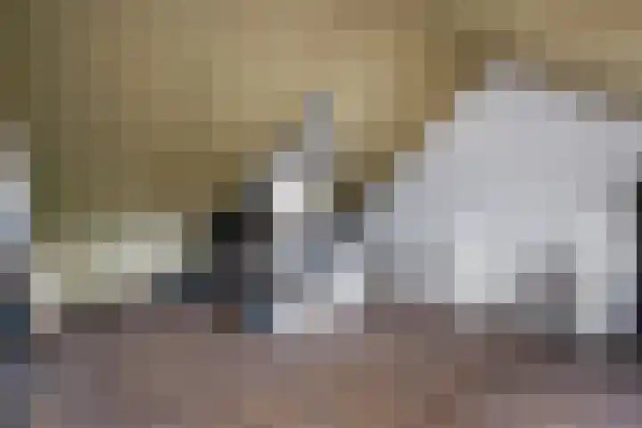 Steenbok 15 Klazienaveen thumbnail 28