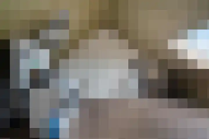 Steenbok 15 Klazienaveen thumbnail 29