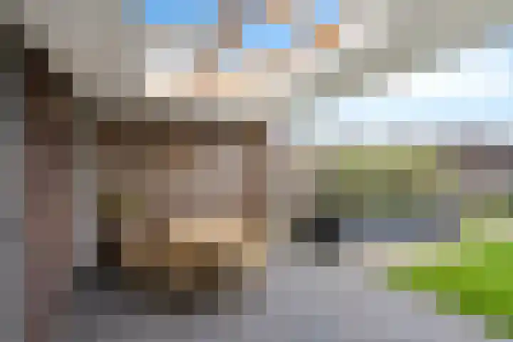 Steenbok 15 Klazienaveen thumbnail 30