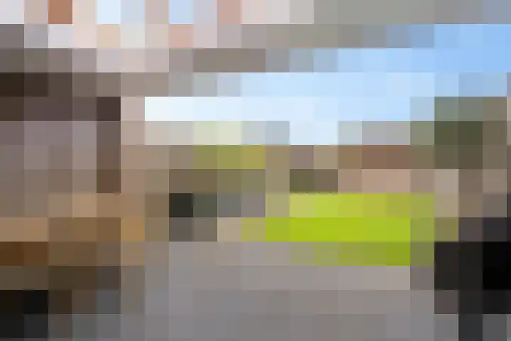 Steenbok 15 Klazienaveen thumbnail 31