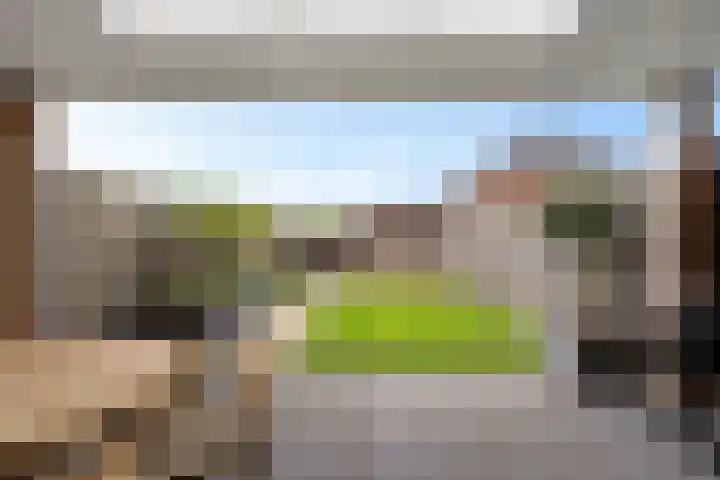 Steenbok 15 Klazienaveen thumbnail 32