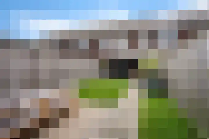 Steenbok 15 Klazienaveen thumbnail 33