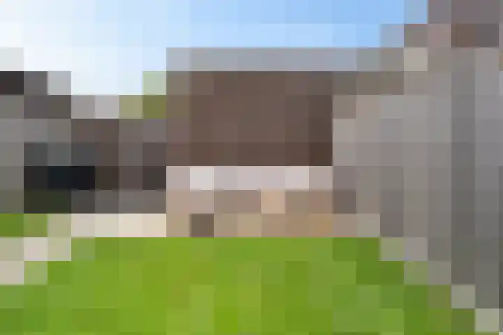 Steenbok 15 Klazienaveen thumbnail 34