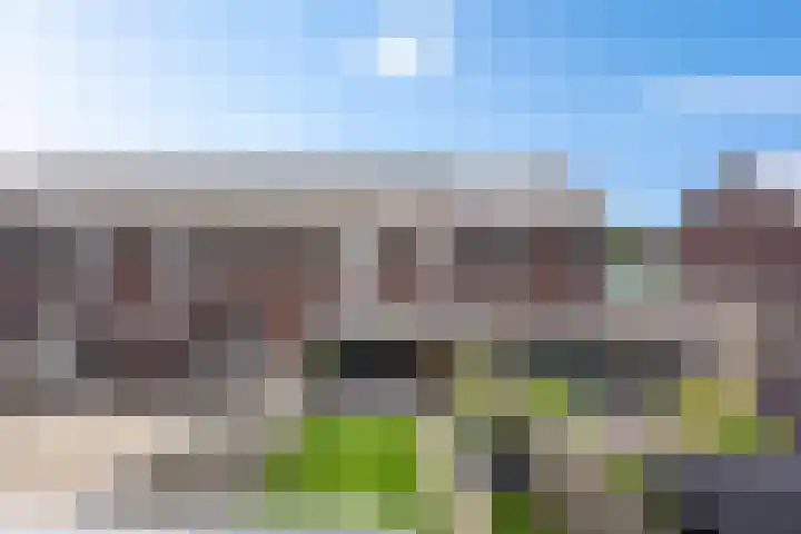 Steenbok 15 Klazienaveen thumbnail 35