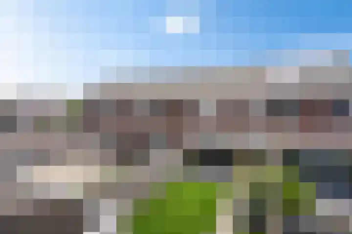 Steenbok 15 Klazienaveen thumbnail 36