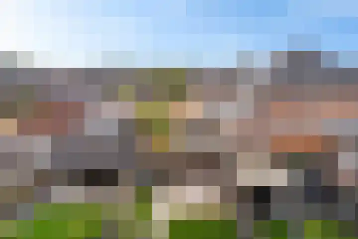 Steenbok 15 Klazienaveen thumbnail 37