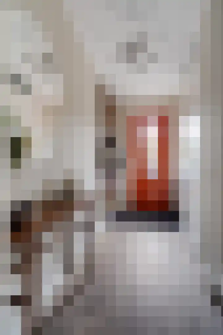 Steenbok 15 Klazienaveen thumbnail 5