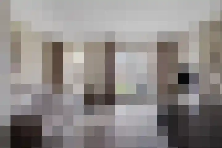 Steenbok 15 Klazienaveen thumbnail 6