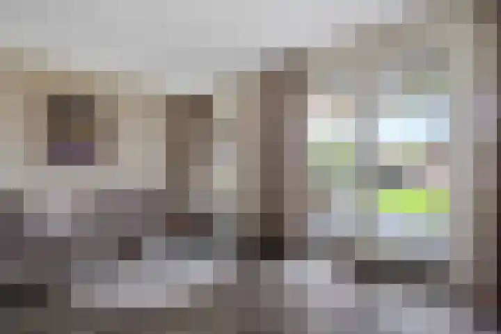 Steenbok 15 Klazienaveen thumbnail 7