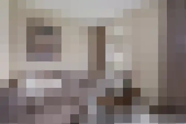 Steenbok 15 Klazienaveen thumbnail 8
