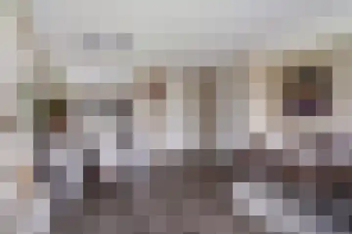 Steenbok 15 Klazienaveen thumbnail 9