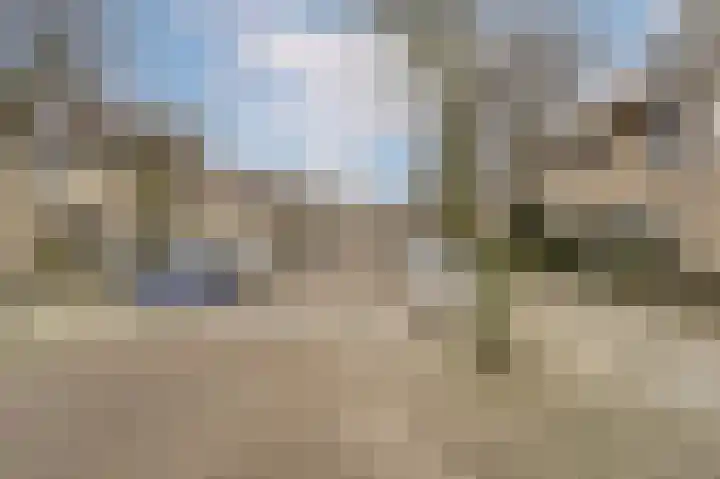 Steenbok 18 Katwijk thumbnail 31