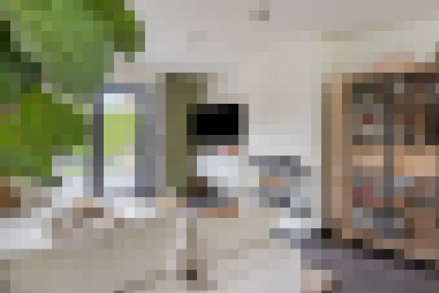 Steenbok 5 Oostburg thumbnail 10