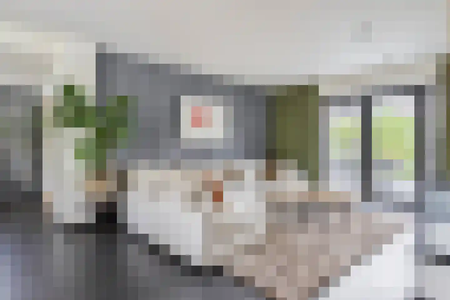 Steenbok 5 Oostburg thumbnail 11
