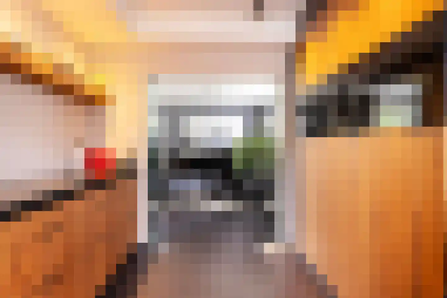 Steenbok 5 Oostburg thumbnail 12