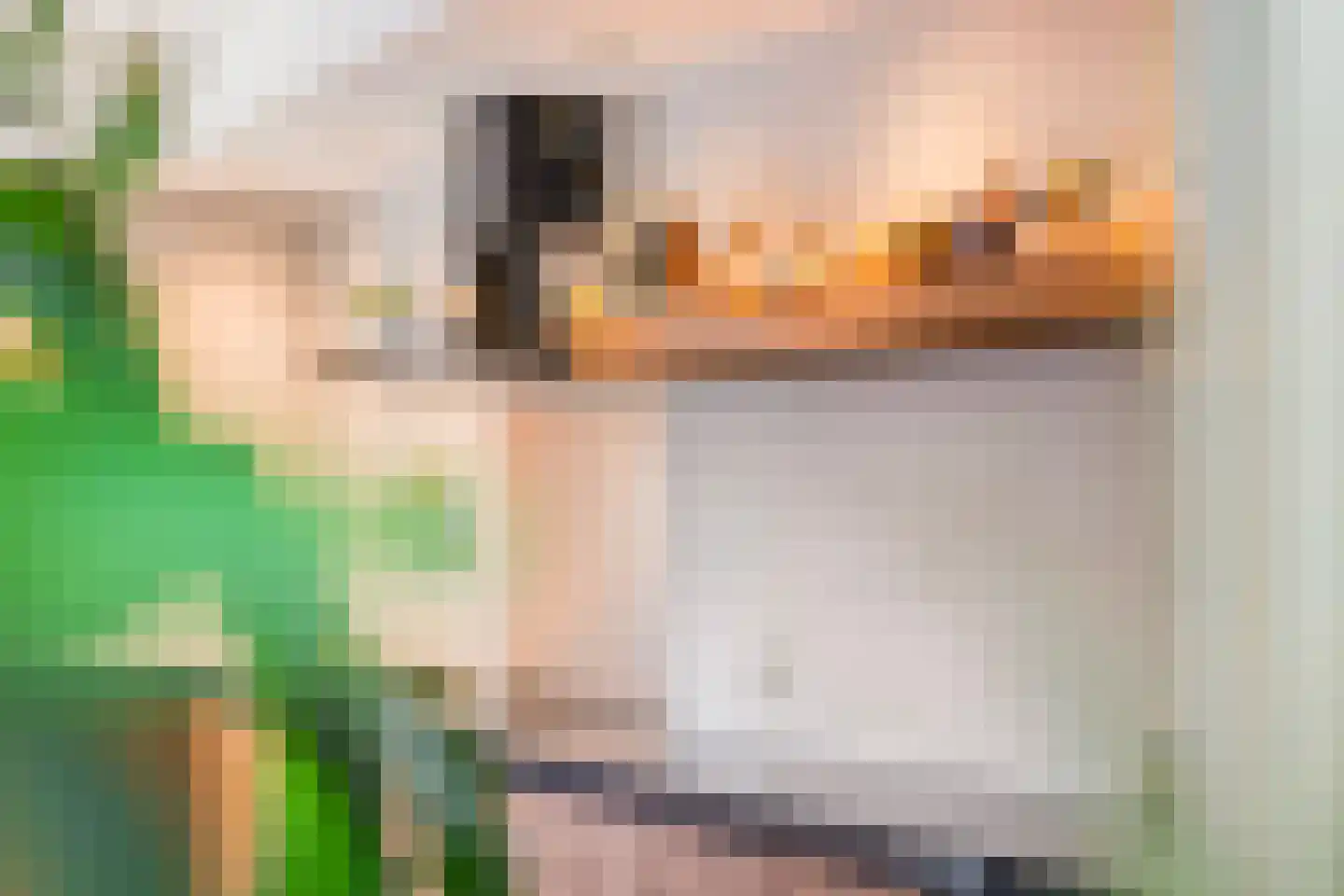 Steenbok 5 Oostburg thumbnail 15