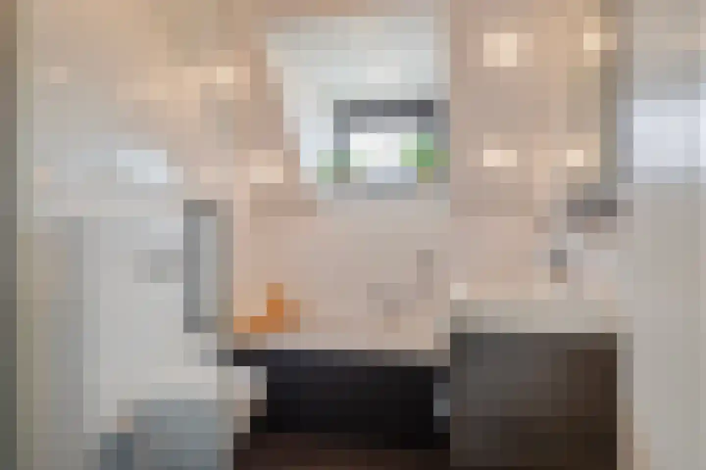 Steenbok 5 Oostburg thumbnail 26