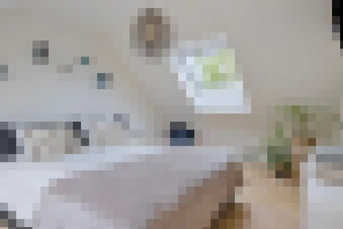 Steenbok 5 Oostburg thumbnail 36