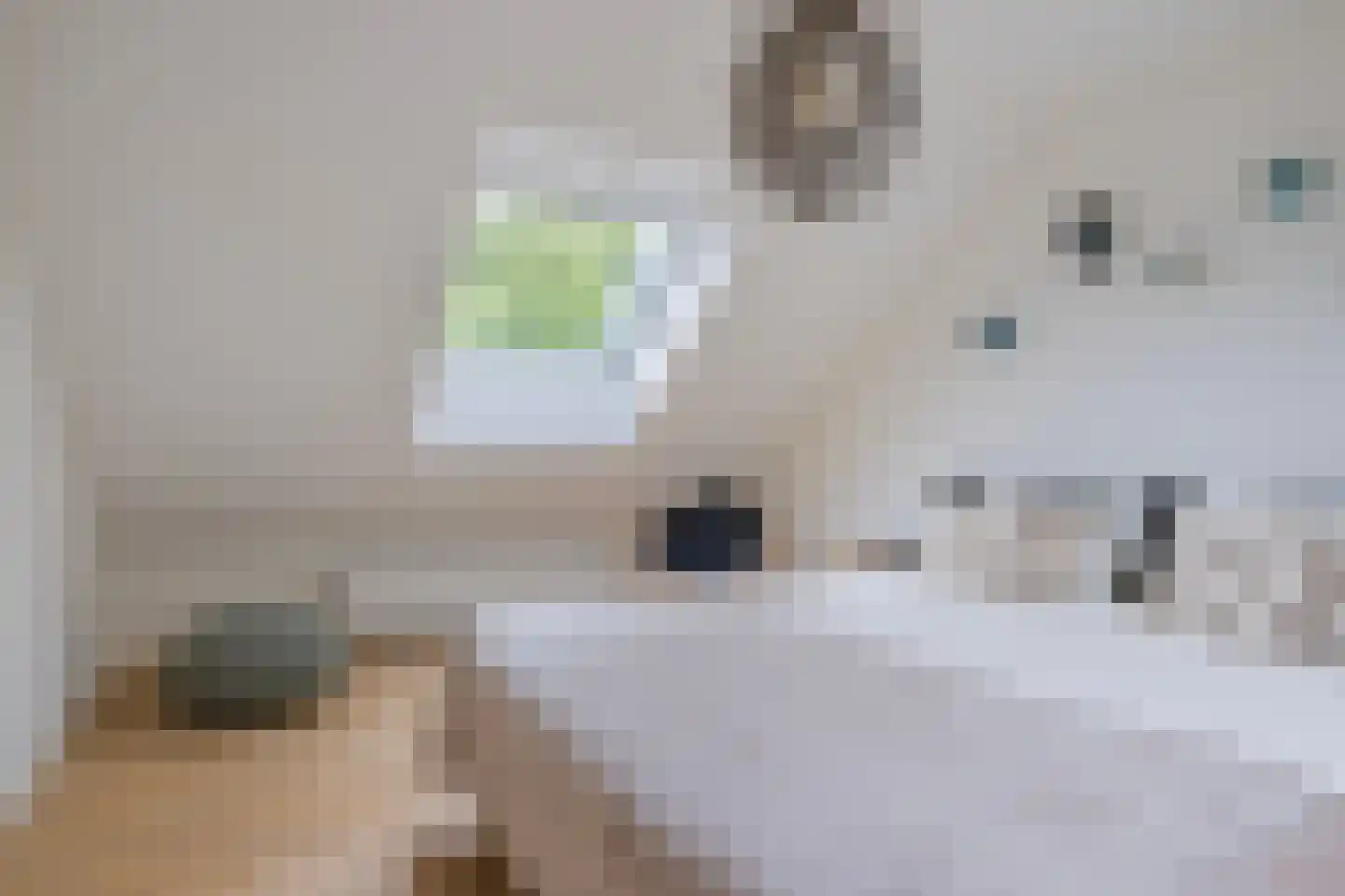 Steenbok 5 Oostburg thumbnail 37