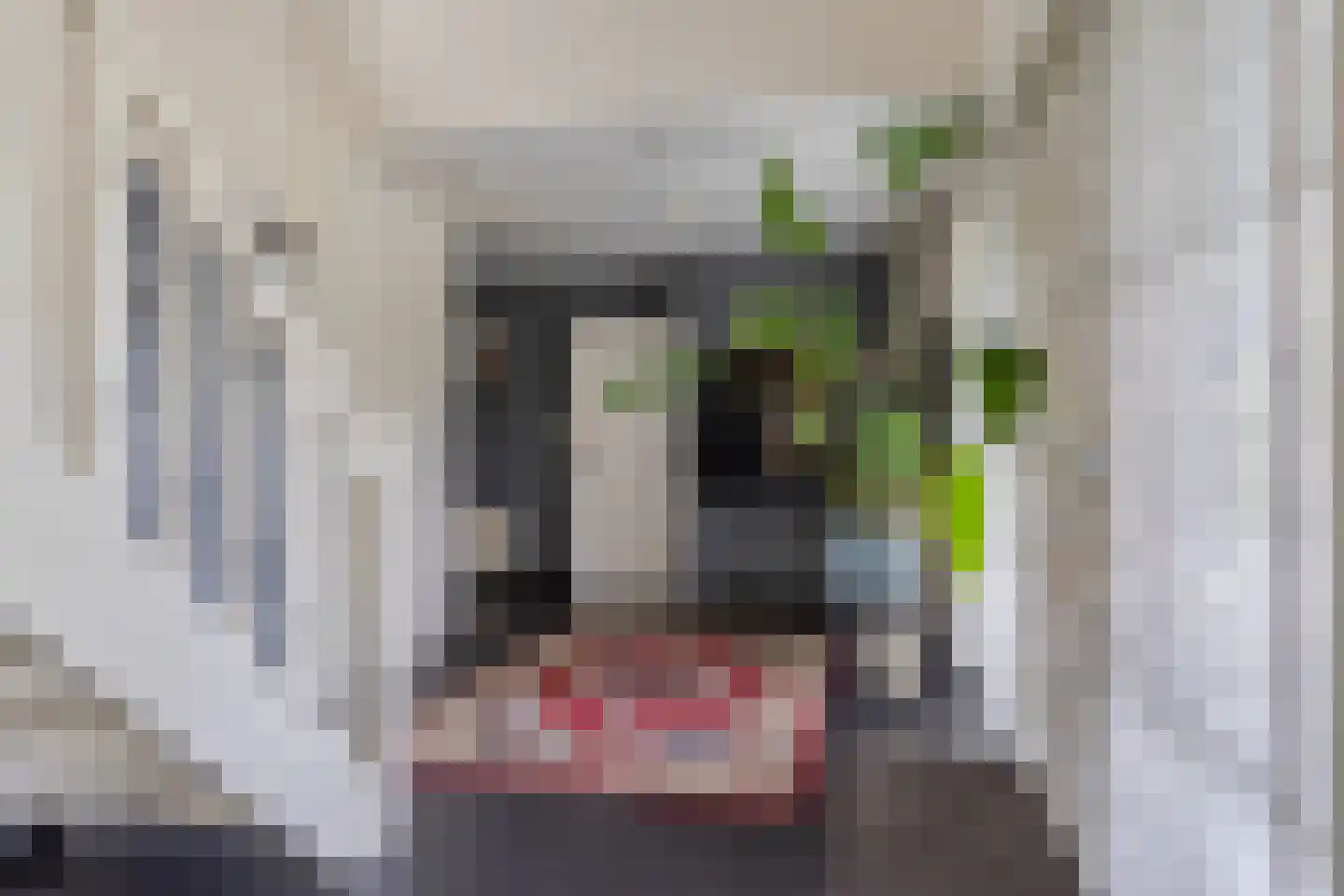 Steenbok 5 Oostburg thumbnail 4