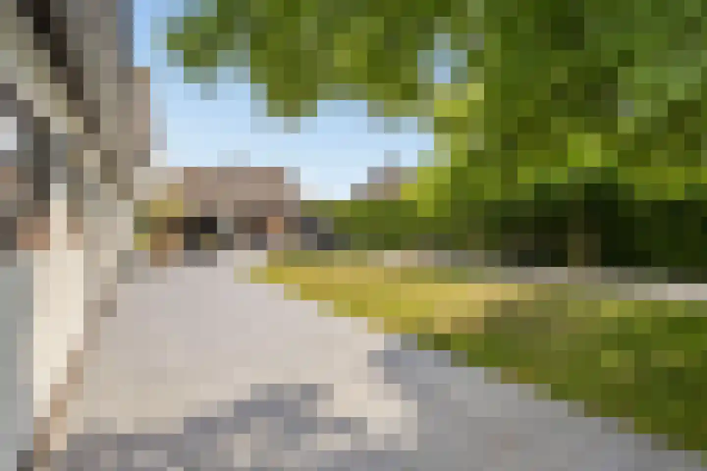Steenbok 5 Oostburg thumbnail 46