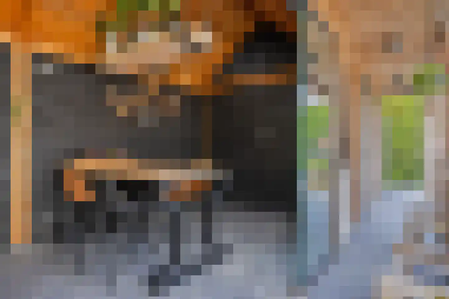 Steenbok 5 Oostburg thumbnail 51