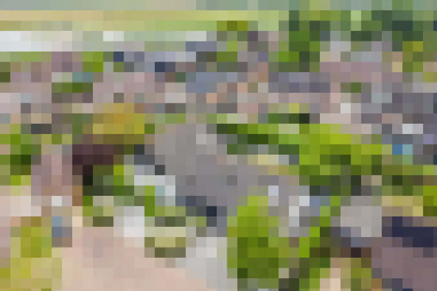 Steenbok 5 Oostburg thumbnail 52