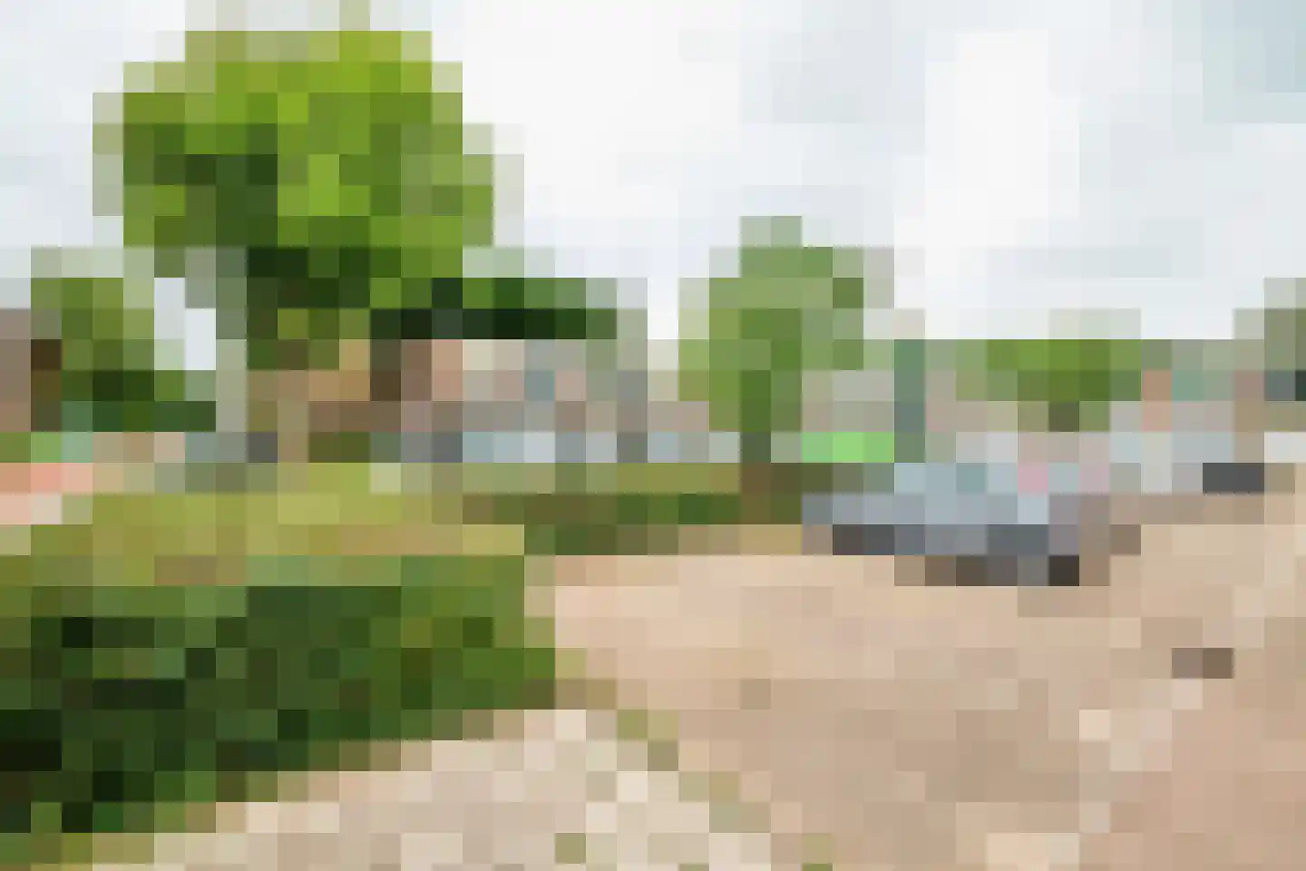 Steenbokplein 36 Bilthoven thumbnail 21