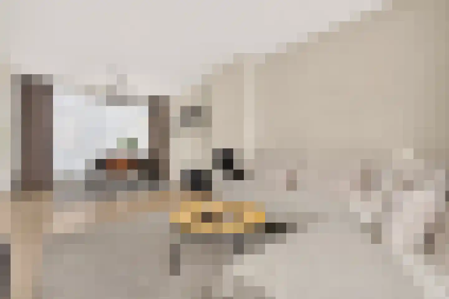 Steenbokstraat 10 Eindhoven thumbnail 14