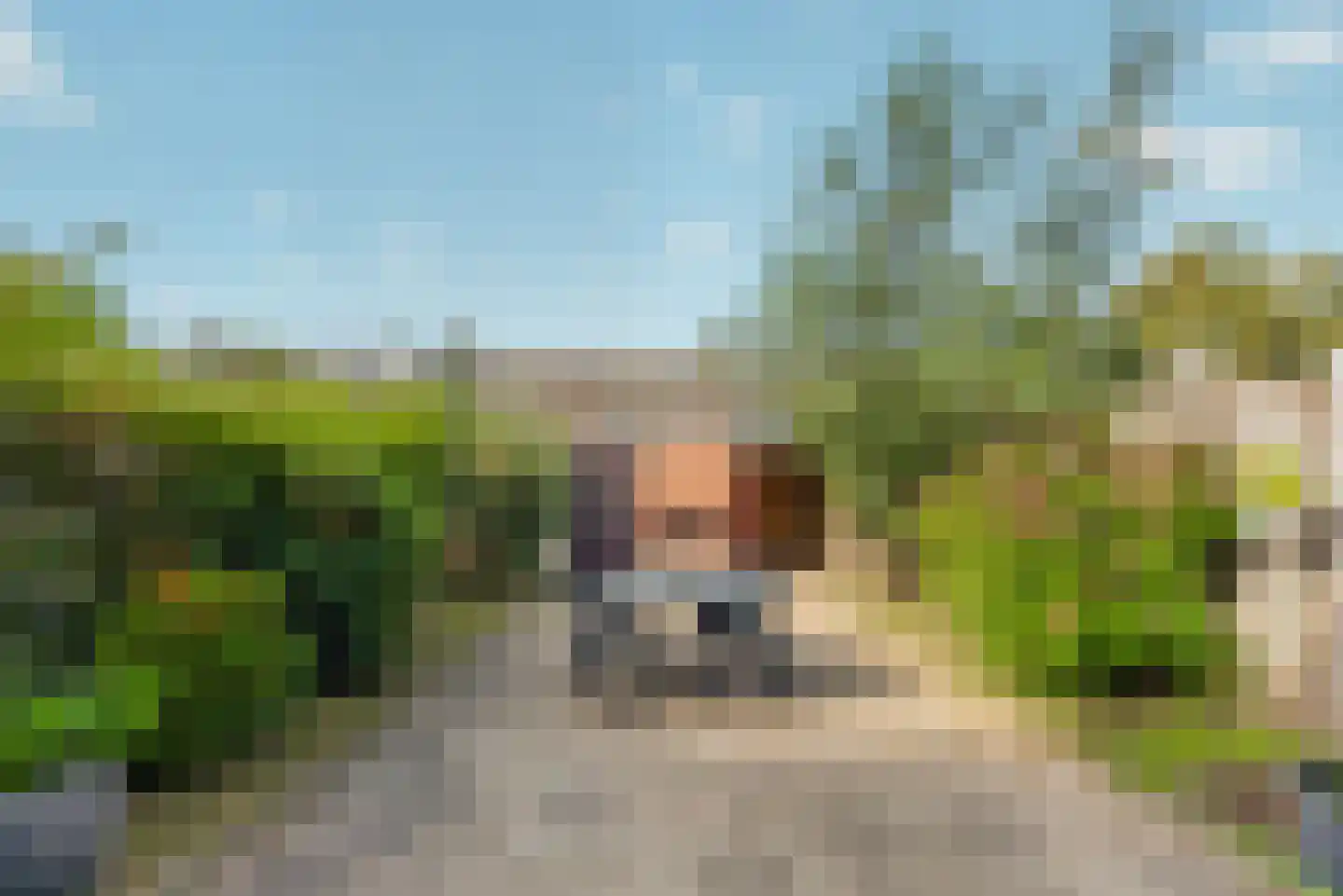 Steenbokstraat 10 Eindhoven thumbnail 22