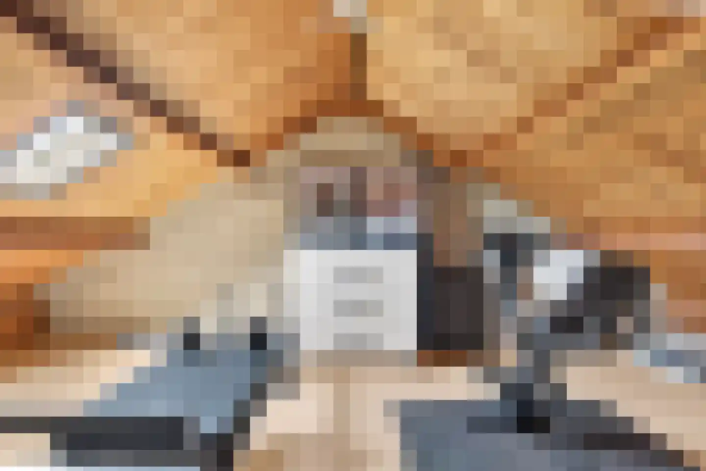 Steenbokstraat 10 Eindhoven thumbnail 37