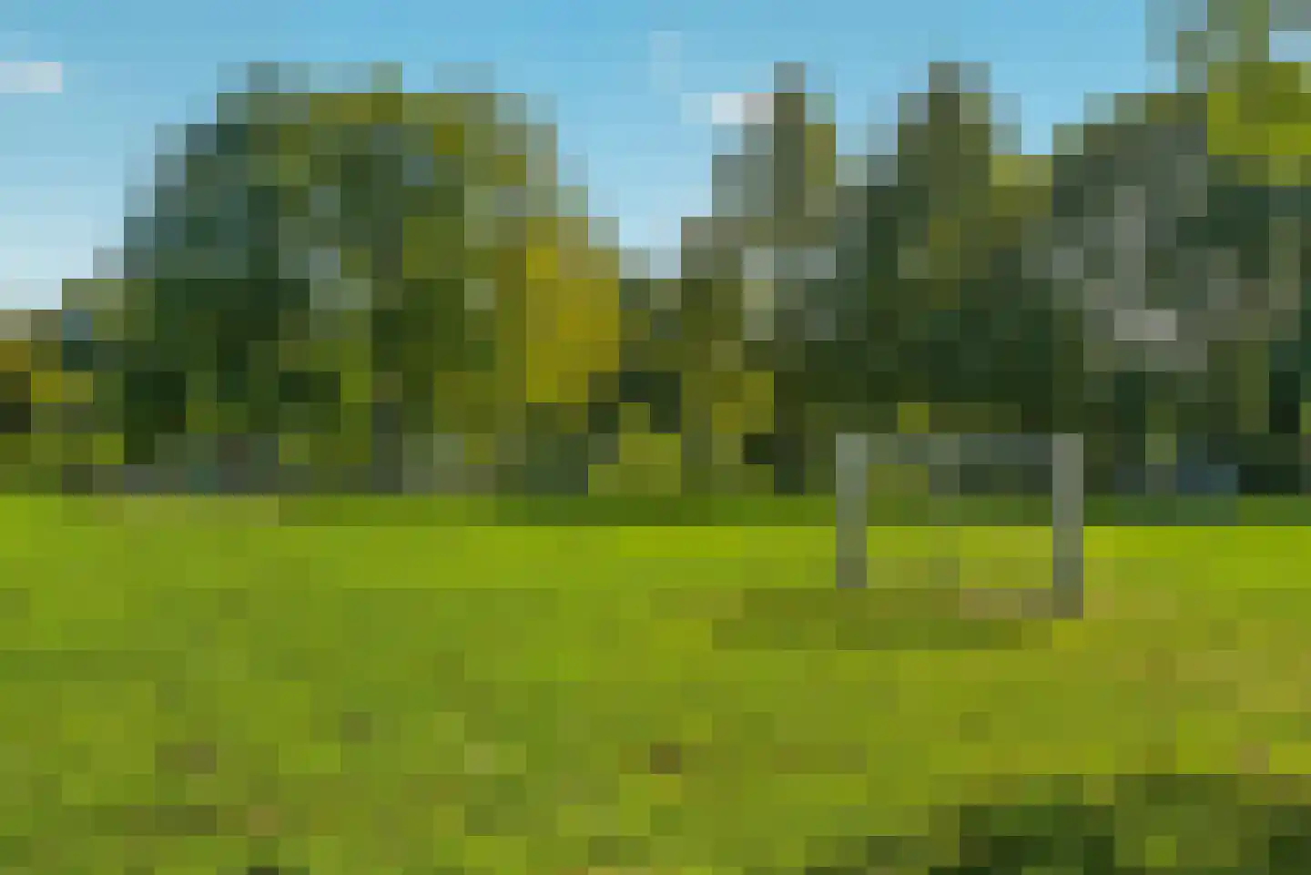 Steenbokstraat 10 Eindhoven thumbnail 41