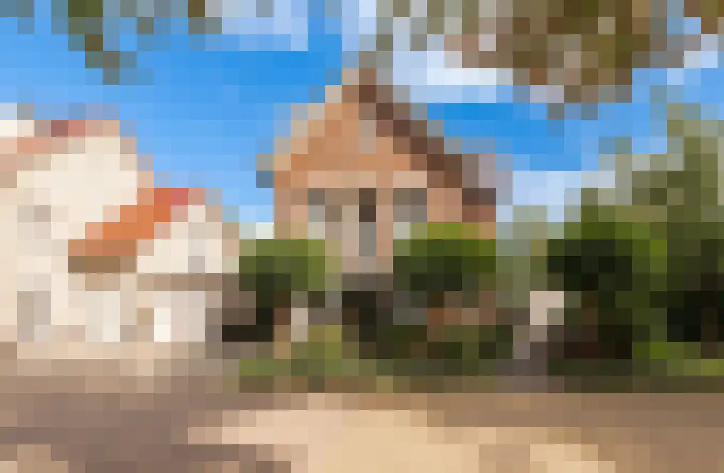 Steenbokstraat 13 Culemborg