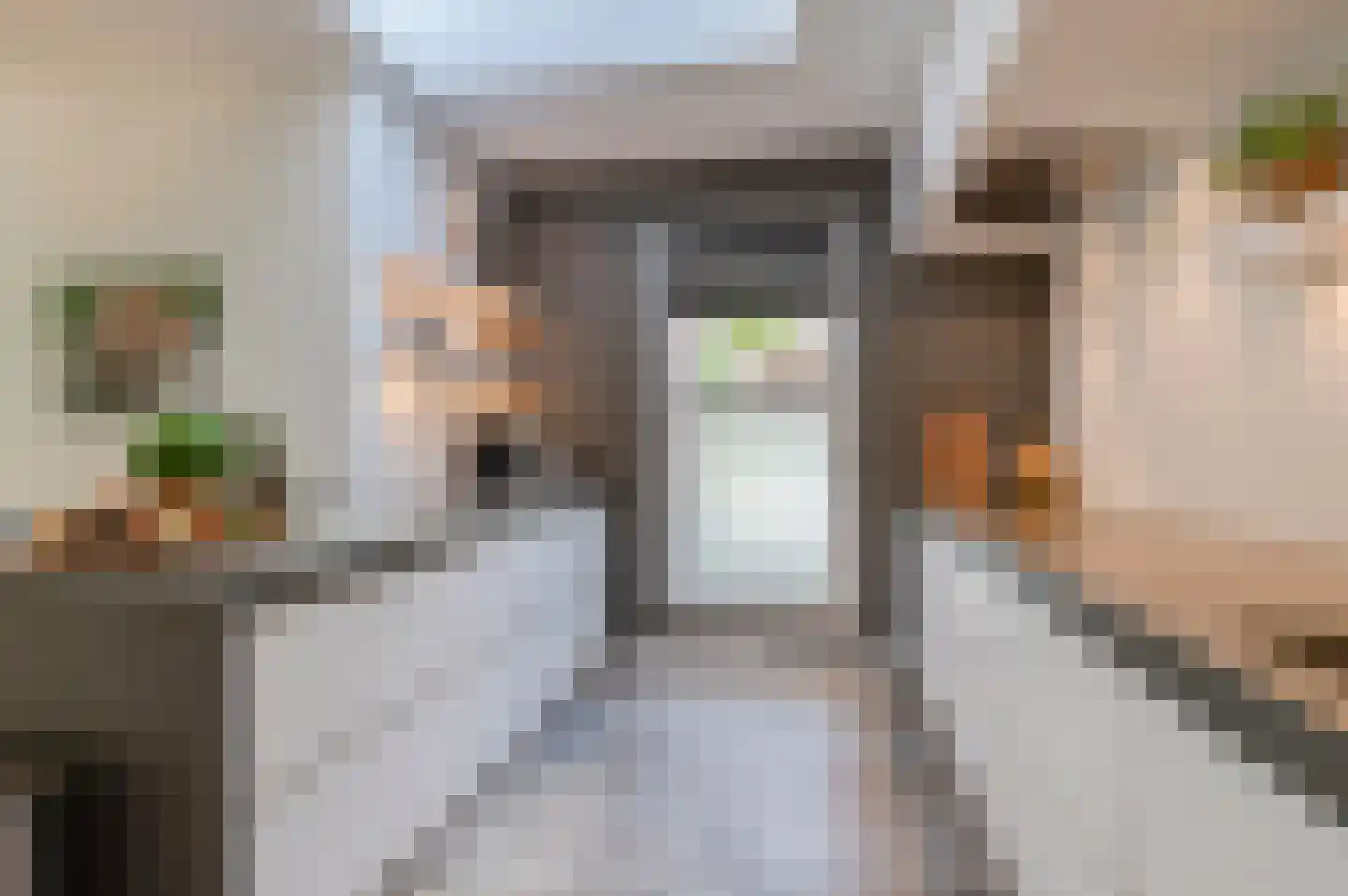 Steenbokstraat 13 Culemborg thumbnail 13