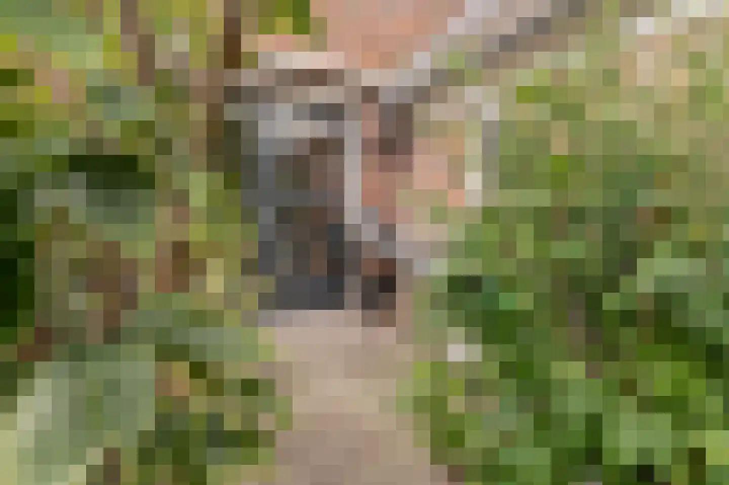 Steenbokstraat 13 Culemborg thumbnail 62