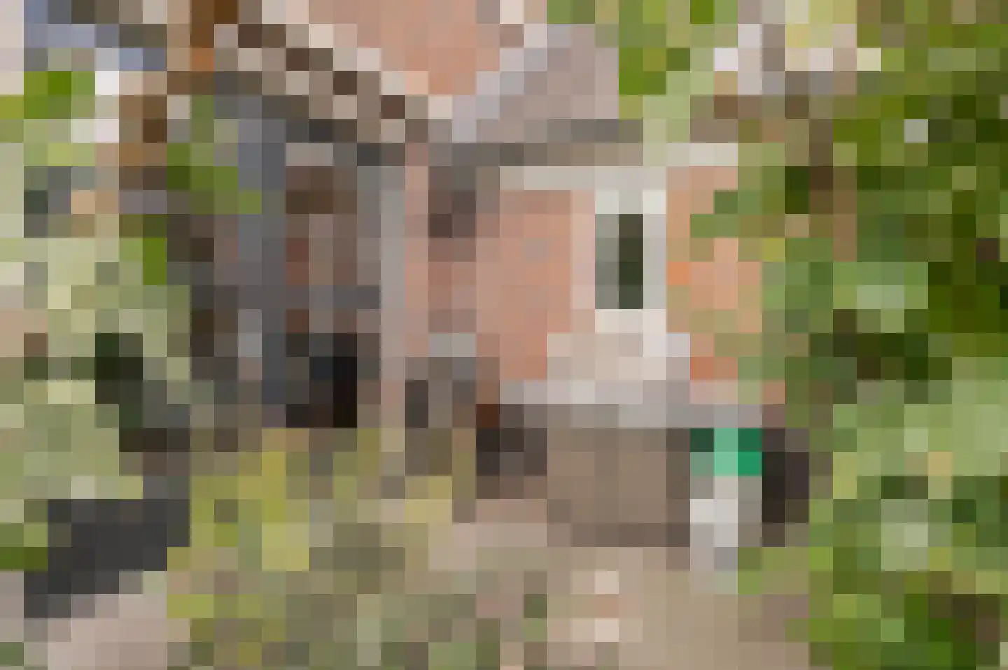 Steenbokstraat 13 Culemborg thumbnail 63