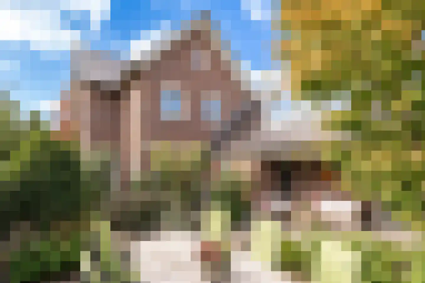 Steenbokstraat 13 Culemborg thumbnail 64