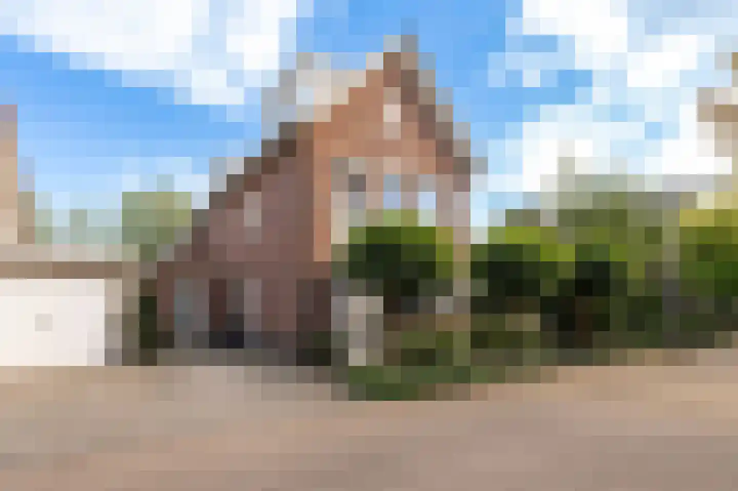 Steenbokstraat 13 Culemborg thumbnail 65