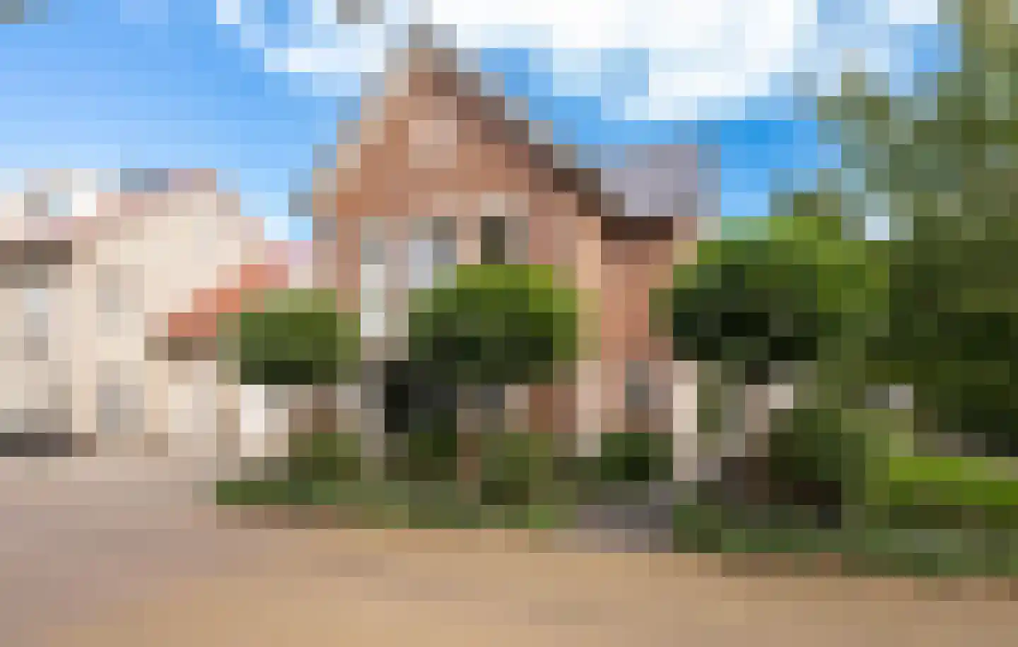 Steenbokstraat 13 Culemborg thumbnail 66