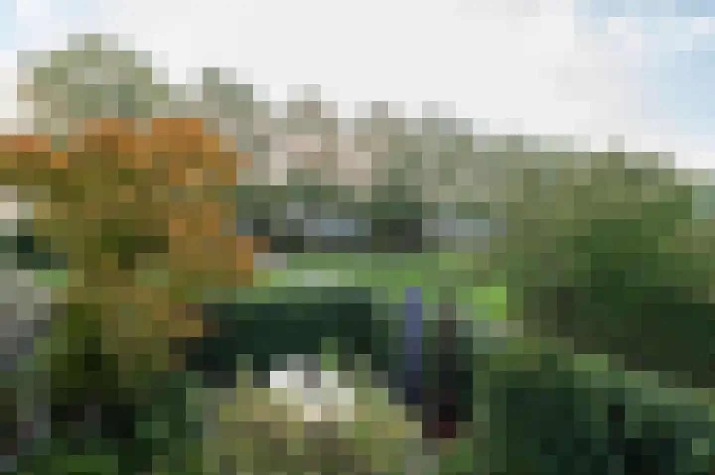 Steenbokstraat 13 Culemborg thumbnail 67