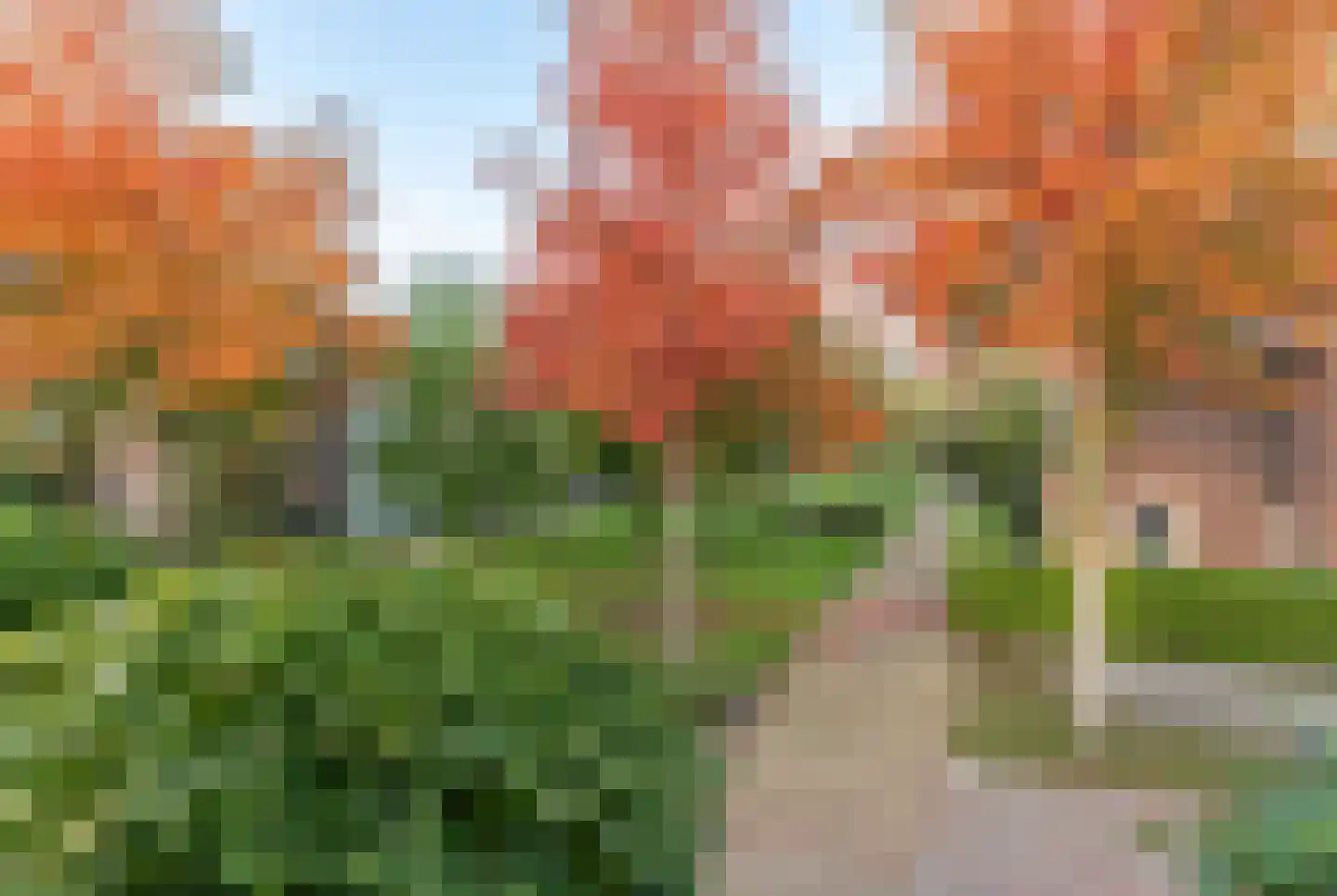 Steenbokstraat 13 Culemborg thumbnail 68
