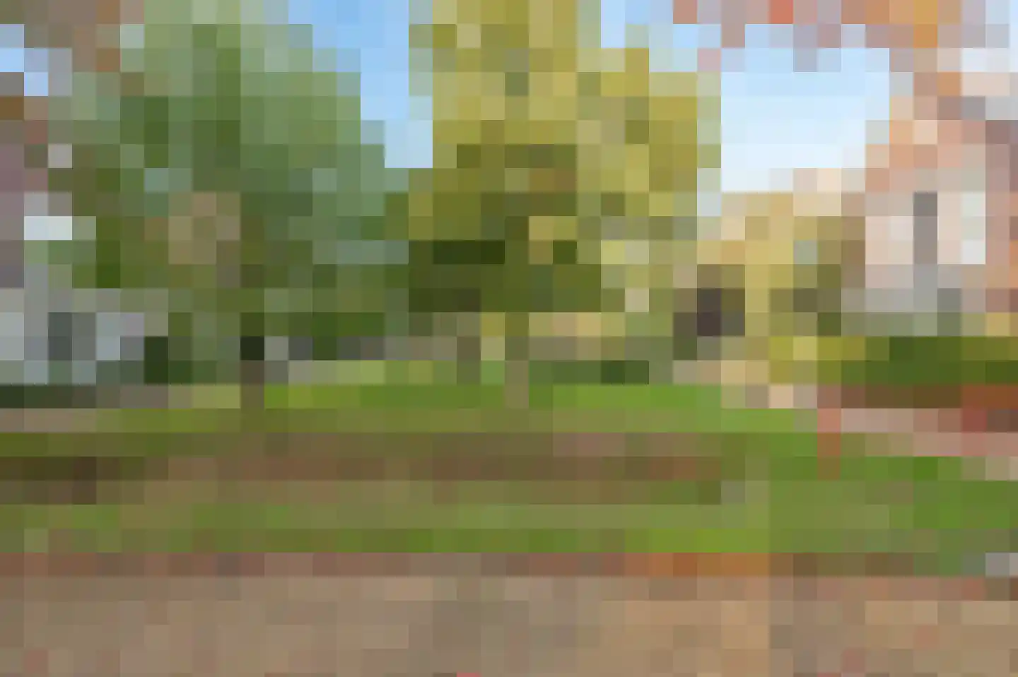 Steenbokstraat 13 Culemborg thumbnail 69