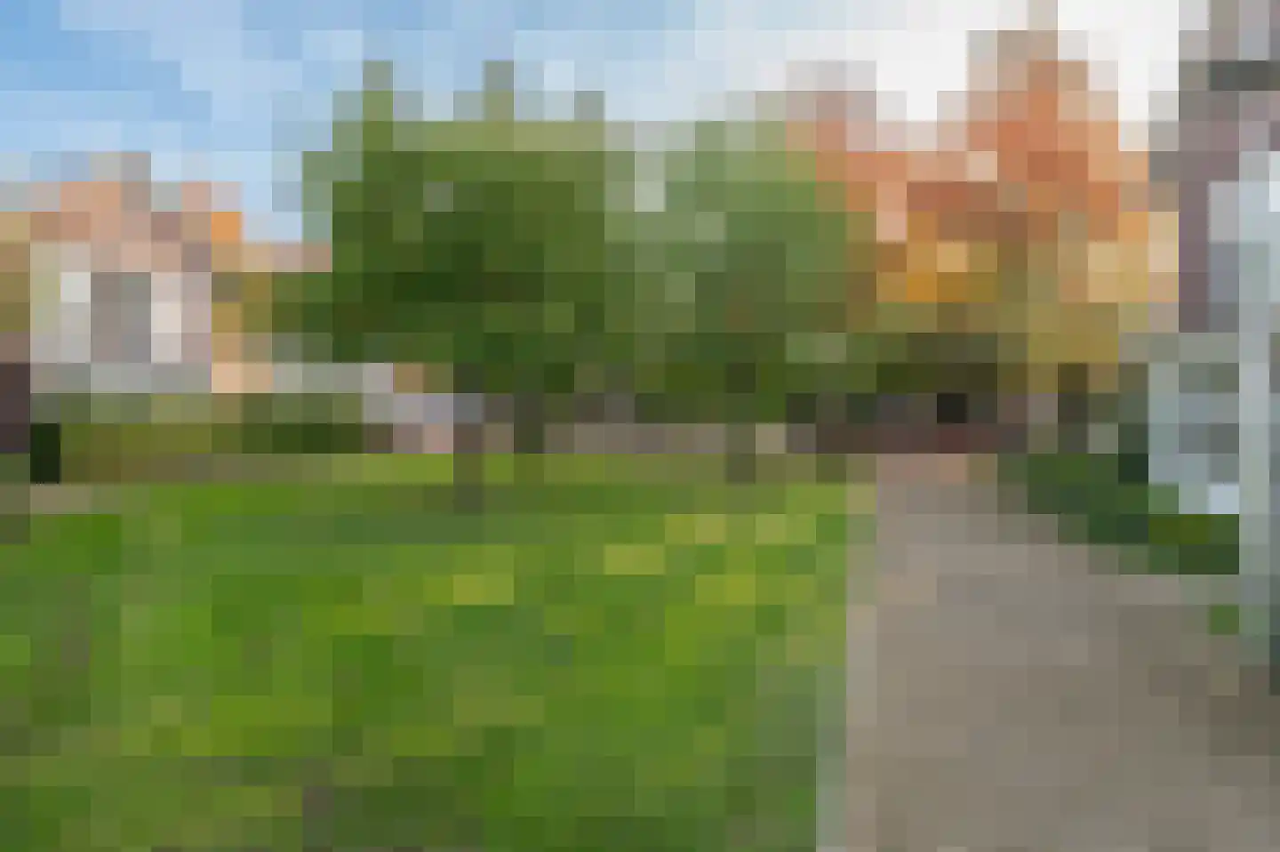 Steenbokstraat 13 Culemborg thumbnail 71